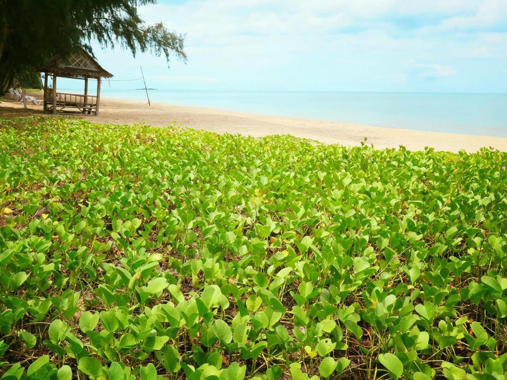 Bayview Beach Resort Ban Krut  Dış mekan fotoğraf